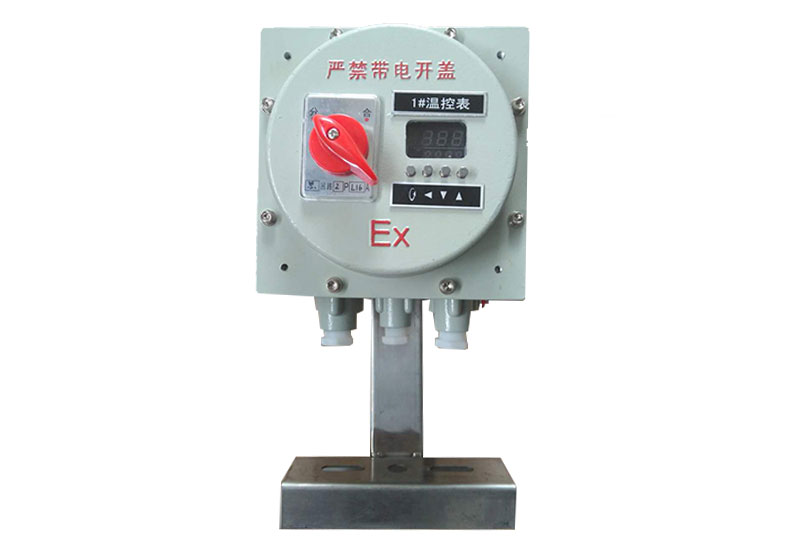 防爆數顯溫控器